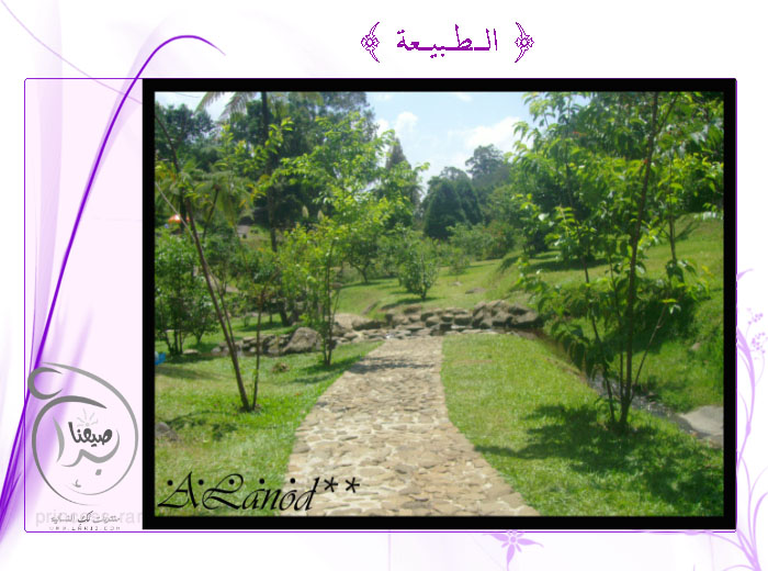 فئات التصوير وفنونه Summer2010_41fClc