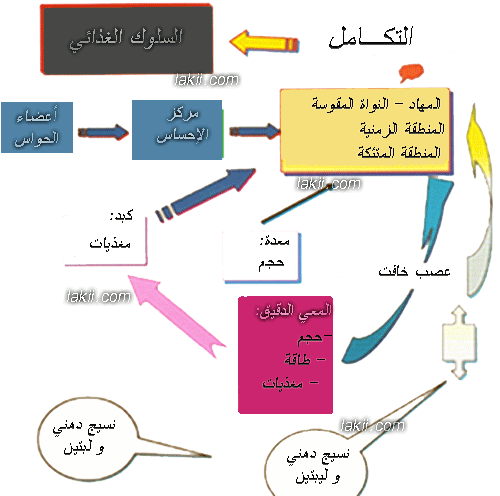 ☁Ξ دورة متميزة Ξ☁✿دورة سلوك تغذيتنا بين صحتنا و أطباقنا التراثية || المحاضرة الثانية✿ Winter_2-22