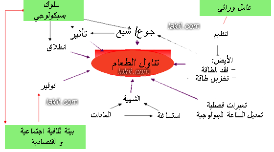 ☁Ξ دورة متميزةΞ☁~✿دورة سلوك تغذيتنا بين صحتنا و أطباقنا التراثية ||المحاضرة الثالثة✿~ Winter_2-29