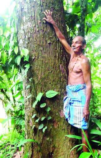 കാർഷികം,ഗ്രാമീണം  00202_498991