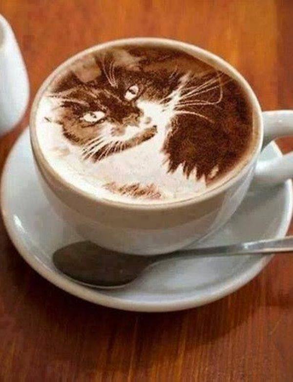 Imagenes En La Crema Del Cafe 12341257_1712858095613104_6114213459338276423_n_cmd0