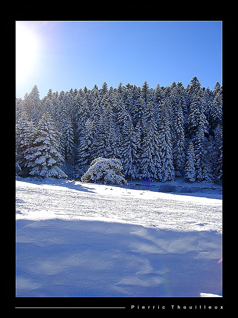 Neige et Soleil, Le Bessat, 13/01/08 DSC04031_copibaz7