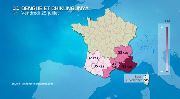 Météo et moustiques : la France menacée par une épidémie de Chikungunya 20140731-150950-METEO-Paris-REPORTER_WEB-152344_g