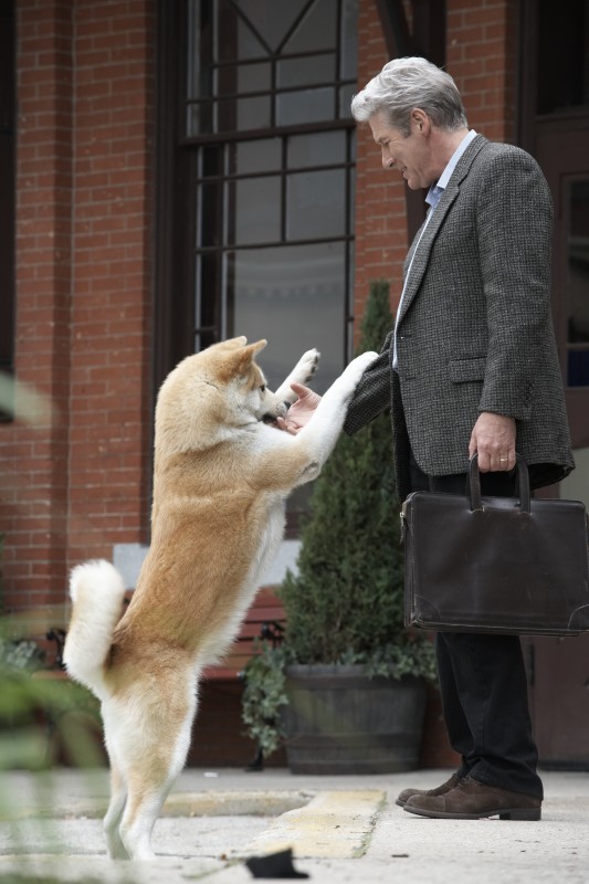 HACHIKO- o istorioara adevarata Richard-gere-nel-film-hachiko-133662