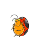 PetPetPets Petpetpet_flugbug