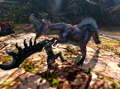 Monster Hunter 4 135x100