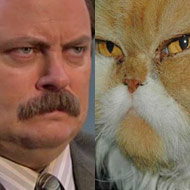 parks - Parks and Recreation 24_swanscat_190x190