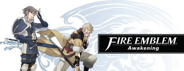 [3DS] Fire Emblem Awakening Bulk_5167b983ee637