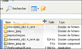 ajuster la taille des colonnes dans l explorateur windows xp 2585-4