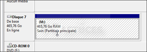 [fermé] pb disque dur Reparer_raw_04