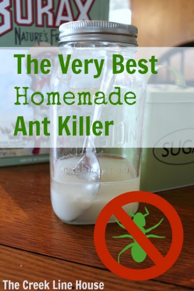 How To Make The Very Best Homemade Ant Killer Ant-killer-010114