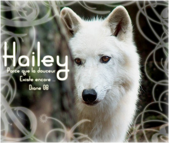 Hailey - Ouranos - Libre Hailey