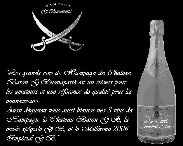 Chateau Baron G.Buonaparté {vins de Hampagn} Pub