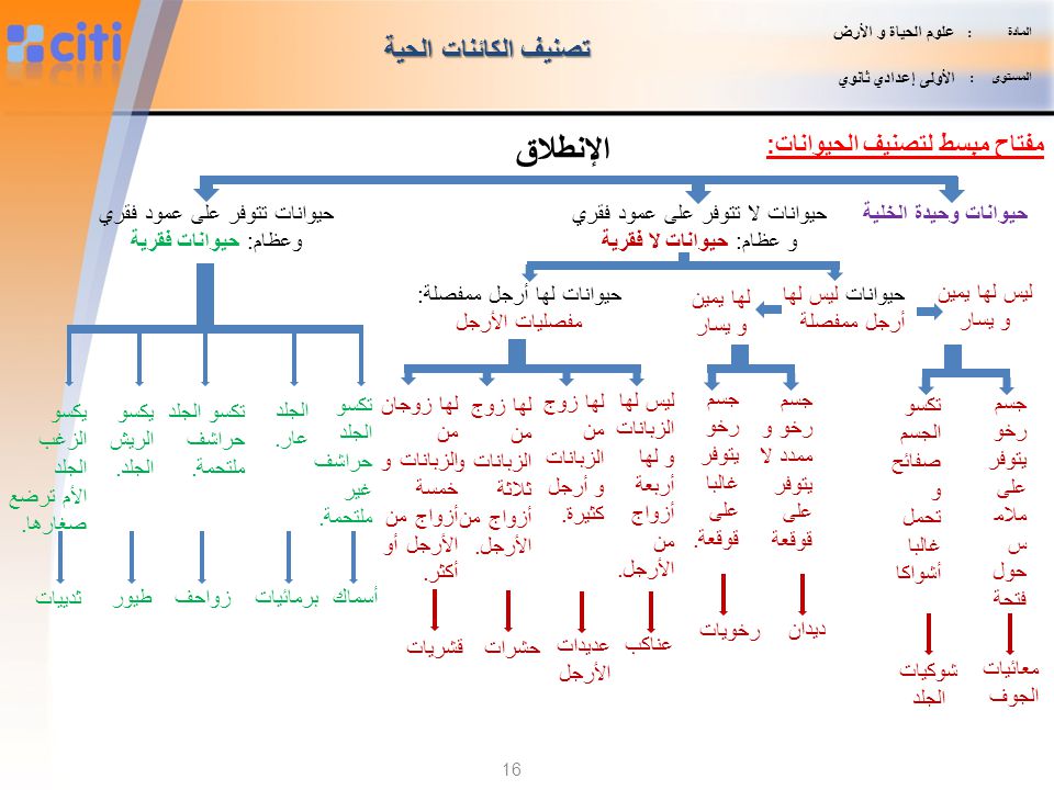 مخطط لتصنيف  الكائنات الحية الحيوانية Slide_16