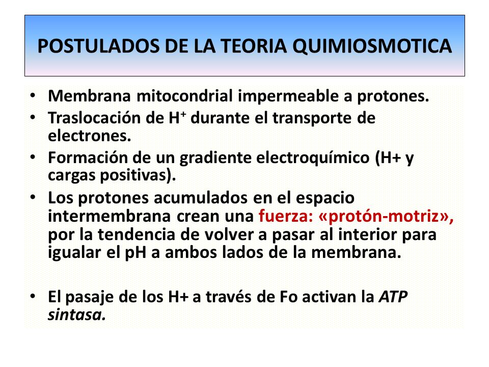 OXIDACIONES BIOLÓGICAS (Cuestionario fecha: 21-28 agosto, 2016) Slide_24