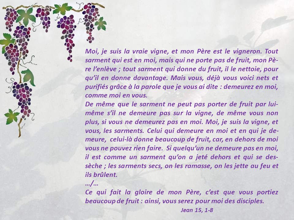 5ème Dimanche de Pâques "« MOI, JE SUIS LA VIGNE, ET VOUS, LES SARMENTS » (Jn 15, 1-8) Slide_3