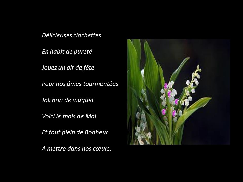 Bonjour tout le monde - Page 22 Slide_5