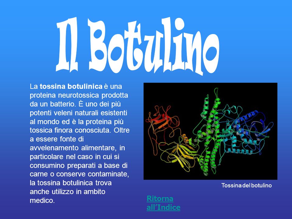 Bacco tabacco & triclinio > - Pagina 20 Slide_35