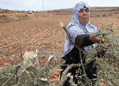 Settler clashes with Palestinians reach boiling point  Ipad-art-wide-POLLARD-USEp20-main-420x0