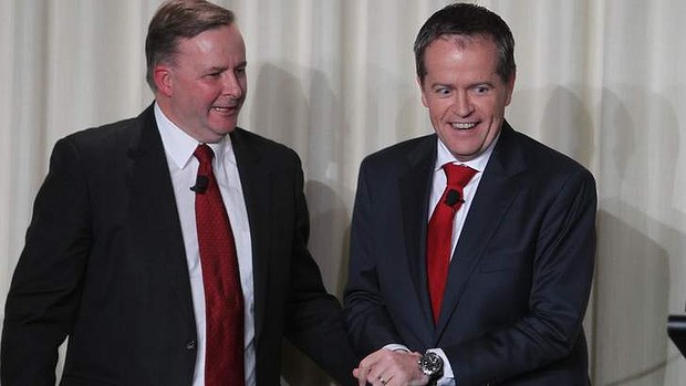 OZschwitz funny: Anthony Albanese is an 'intellectual lightweight': Mark Latham Am-w-gloves-20130924214109929187-620x349