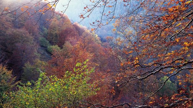  ►►► Bienvenido al OTOÑO del 2015  ►►► - Página 8 Aemet-preve-inicio-anticiclonico-Cantabria_TINIMA20150923_0132_5