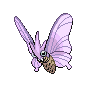 Safari Zone  Venomothgif