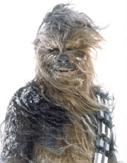 RDV des clibataires Chewbacca-main