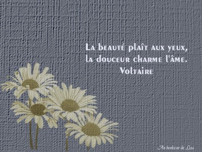 Citations & Proverbes en Français (Images) Midoun129771665407_art