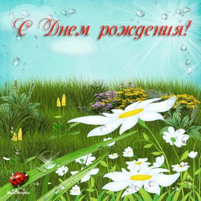 Поздравление С Днем Рождения Картинка Ромашки Поздравление С Днем Рождения Картинка Ромашки