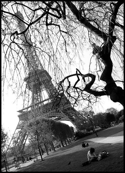  Paris mon Amour - Page 6 34671202_m