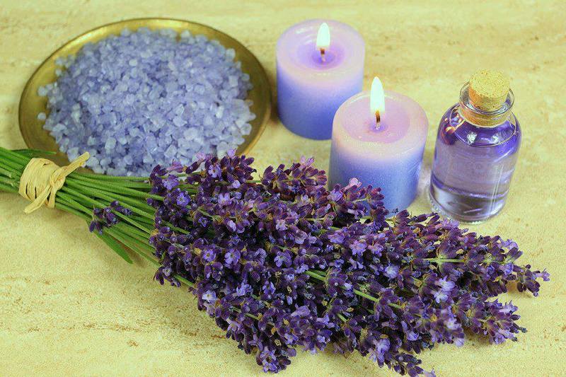 Lavanda (za) u kući - Page 2 35627611_m