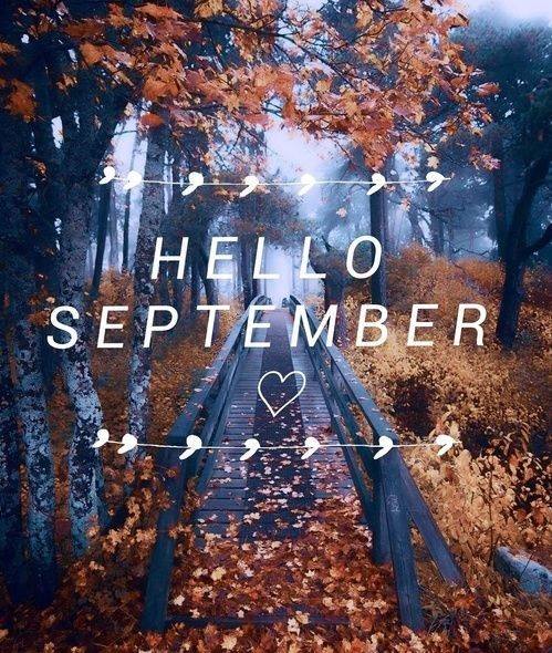 hello septembar - Page 3 35692435_m