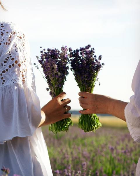 Lavanda (za) u kući - Page 3 35823706_m