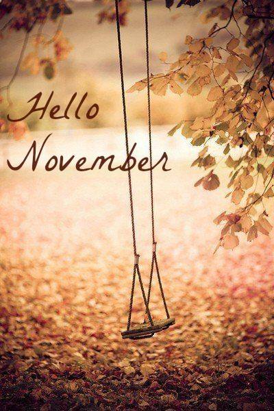 Hello November  - Page 2 36474262_m