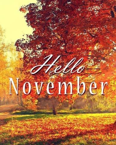 Hello November  - Page 2 36500345_m