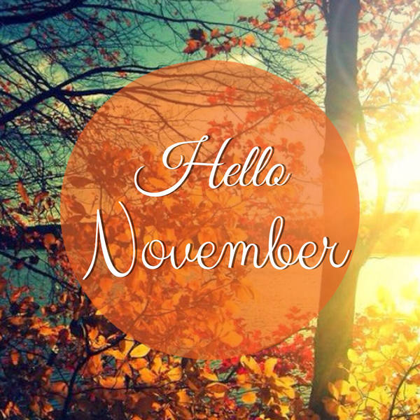 Hello November  - Page 2 36548760_m