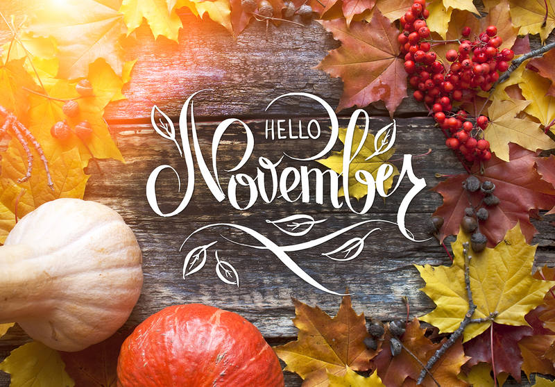 Hello November  - Page 2 36548758_m