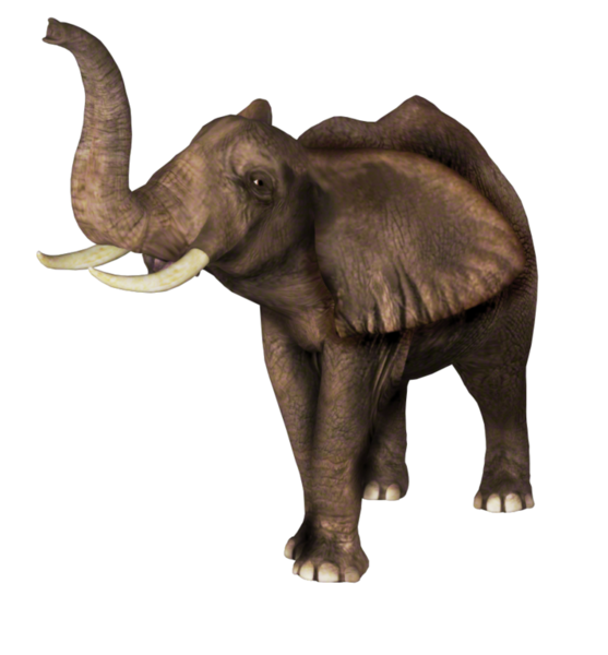 Zoo ClipArt - Page 6 36885518_m