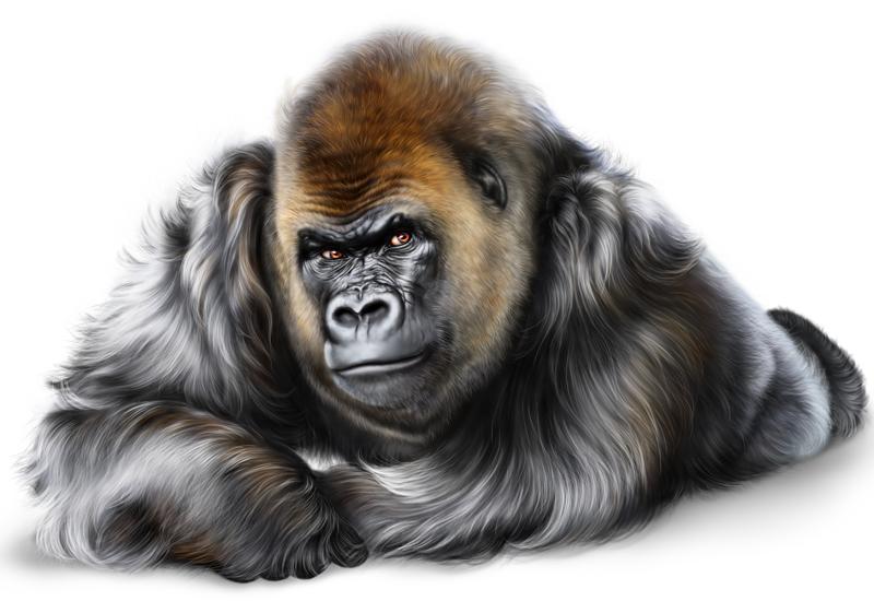 Zoo ClipArt - Page 6 36885522_m