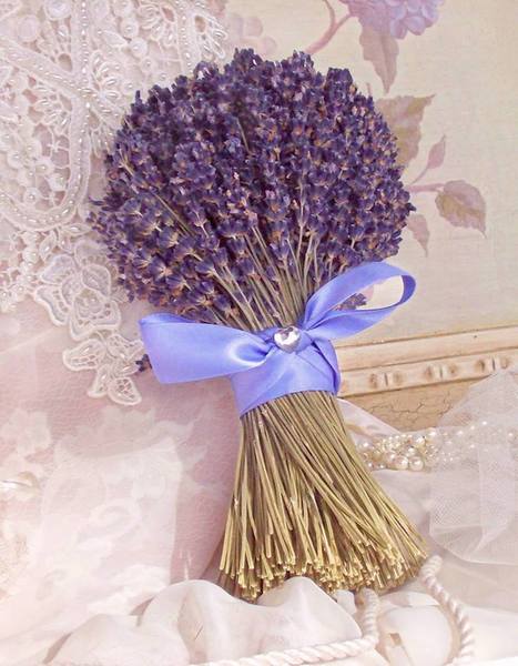 Lavanda (za) u kući - Page 8 38369035_m