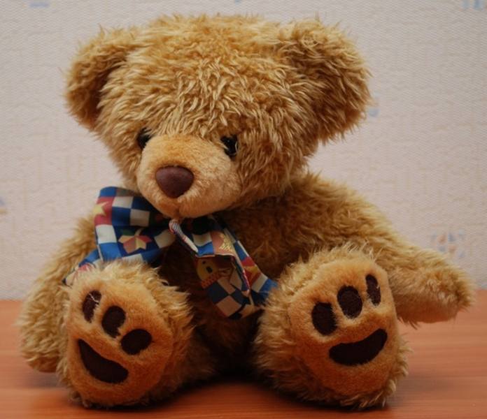 My teddy bear - Page 36 38369427_m