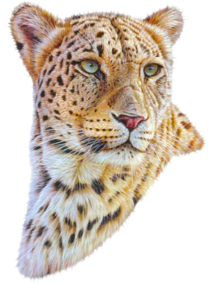 Zoo ClipArt - Page 31 38380376_m