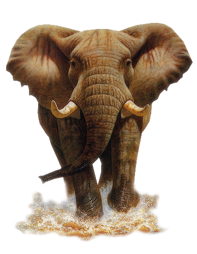 Zoo ClipArt - Page 29 38380392_m