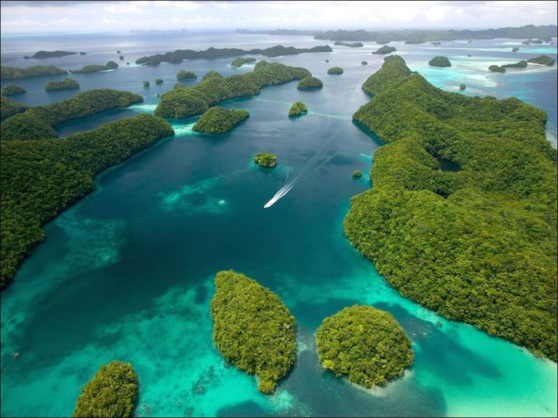 Palau - Page 2 38387157_m