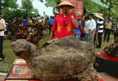 Sốc với những thứ triệu đô 'made in VN' Images2049983_8