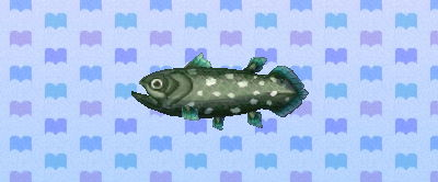 Animal Crossing: New Leaf - Page 9 Coelacanth_new_leaf