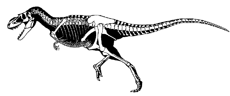 Lost in Eukara (OOC) - Page 3 Albertosaurus_skeleton