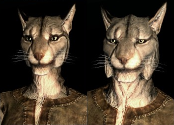 Khajiit SepLnUp_Khajiit_a1%26c1