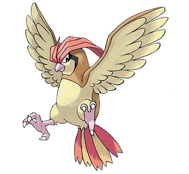 Invocacion de aves Pidgeotto