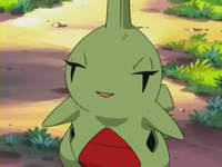 [[Los pokemons de mi ficha]] EP264_Larvitar_%287%29